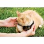 Collier pour chat PetSafe Prf-3004xw-20: Plus de 300.000 produits de grandes marques en vente directe à prix usine sur cadeaufou