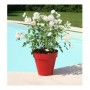Pot Riviera 414056 Ø 39,2 x 35,8 cm Rouge: Plus de 300.000 produits de grandes marques en vente directe à prix usine sur cadeauf