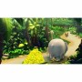 Jeu vidéo pour Switch Nintendo Donkey Kong Country Returns HD: Plus de 300.000 produits de grandes marques en vente directe à pr