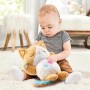 Jouet musical Vtech Baby My Kitten Sweet Night: Plus de 300.000 produits de grandes marques en vente directe à prix usine sur ca