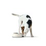 Mangeoire pour chiens Hunter Noir 1,4 L Mélamine: Plus de 300.000 produits de grandes marques en vente directe à prix usine sur 