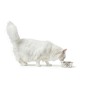 Mangeoire pour chiens Hunter Silicone Acier inoxydable 2,6 L: Plus de 300.000 produits de grandes marques en vente directe à pri