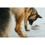 Mangeoire pour chiens Hunter Silicone Acier inoxydable 2,6 L: Plus de 300.000 produits de grandes marques en vente directe à pri