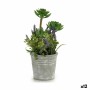 Plante décorative Ibergarden XD181181 Liège Plastique Fleurs Campagne 10 x 25 x 10 cm (12 Unités): Plus de 300.000 produits de g