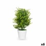 Plante décorative Ibergarden 548 Plastique Grand (6 Unités): Plus de 300.000 produits de grandes marques en vente directe à prix