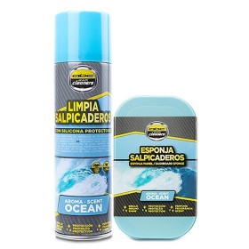 Kit de nettoyage et de rangement ABC Parts ZABC12201 Nettoie les éclaboussures Ocean 170 ml 2 Pièces: Plus de 300.000 produits d