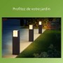 Lampe Philips Noir 12 V Vert tendre 600 lm (1 Unité): Plus de 300.000 produits de grandes marques en vente directe à prix usine 