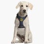 Harnais pour Chien Batman XXS/XS Bleu: Plus de 300.000 produits de grandes marques en vente directe à prix usine sur cadeaufou.c
