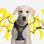 Harnais pour Chien Batman XXS/XS Bleu: Plus de 300.000 produits de grandes marques en vente directe à prix usine sur cadeaufou.c