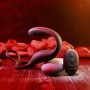 Anneau Pénis Gender X Gender X Noir: Plus de 300.000 produits de grandes marques en vente directe à prix usine sur cadeaufou.com