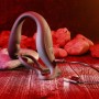 Anneau Pénis Gender X Gender X Noir: Plus de 300.000 produits de grandes marques en vente directe à prix usine sur cadeaufou.com