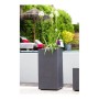 Pot EDA Graphit Gris Gris foncé Plastique Carré 39,5 x 39,5 x 80 cm: Plus de 300.000 produits de grandes marques en vente direct