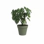 Cache-pot Artevasi CAPRI Vert Ø 40 cm: Plus de 300.000 produits de grandes marques en vente directe à prix usine sur cadeaufou.c