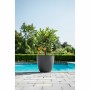 Cache-pot Garden ID Phoenix Anthracite Anthracite 48 x 42 cm: Plus de 300.000 produits de grandes marques en vente directe à pri