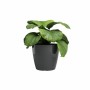 Cache-pot Artevasi SAN REMO Anthracite Ø 42 cm (2 Pièces): Plus de 300.000 produits de grandes marques en vente directe à prix u