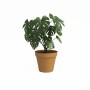 Cache-pot Artevasi CAPRI Jaune Ø 40 cm: Plus de 300.000 produits de grandes marques en vente directe à prix usine sur cadeaufou.