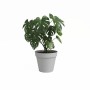 Cache-pot Artevasi CAPRI Gris clair Ø 40 cm: Plus de 300.000 produits de grandes marques en vente directe à prix usine sur cadea