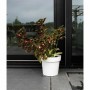 Pot auto-arrosant Garden ID Blanc: Plus de 300.000 produits de grandes marques en vente directe à prix usine sur cadeaufou.com. 