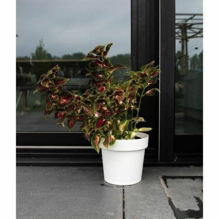 Pot auto-arrosant Garden ID Blanc: Plus de 300.000 produits de grandes marques en vente directe à prix usine sur cadeaufou.com. 