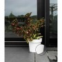 Pot auto-arrosant Garden ID Blanc: Plus de 300.000 produits de grandes marques en vente directe à prix usine sur cadeaufou.com. 