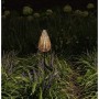 Lampe solaire Garden ID Fern 46 x 16 cm: Plus de 300.000 produits de grandes marques en vente directe à prix usine sur cadeaufou