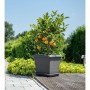 Pot Garden ID Anthracite Carré Effet pierre 40 x 35 cm: Plus de 300.000 produits de grandes marques en vente directe à prix usin