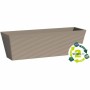 Jardinière Garden ID Taupe 50 x 16 x 16 cm: Plus de 300.000 produits de grandes marques en vente directe à prix usine sur cadeau