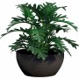 Pot Garden ID Noir 25 x 12 cm: Plus de 300.000 produits de grandes marques en vente directe à prix usine sur cadeaufou.com. Labe