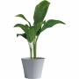 Pot Garden ID Gris 30 x 27 cm: Plus de 300.000 produits de grandes marques en vente directe à prix usine sur cadeaufou.com. Labe