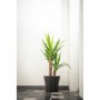 Pot Garden ID Noir 30 x 27 cm: Plus de 300.000 produits de grandes marques en vente directe à prix usine sur cadeaufou.com. Labe