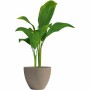 Pot Garden ID Taupe 40 x 31 cm: Plus de 300.000 produits de grandes marques en vente directe à prix usine sur cadeaufou.com. Lab