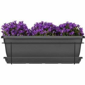 Jardinière Garden ID Anthracite 50 cm: Plus de 300.000 produits de grandes marques en vente directe à prix usine sur cadeaufou.c