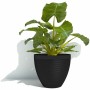Pot Garden ID Noir 40 x 31 cm: Plus de 300.000 produits de grandes marques en vente directe à prix usine sur cadeaufou.com. Labe