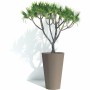 Cache-pot Garden ID: Plus de 300.000 produits de grandes marques en vente directe à prix usine sur cadeaufou.com. Label boutique