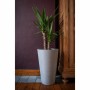 Cache-pot Garden ID: Plus de 300.000 produits de grandes marques en vente directe à prix usine sur cadeaufou.com. Label boutique
