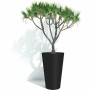 Cache-pot Garden ID: Plus de 300.000 produits de grandes marques en vente directe à prix usine sur cadeaufou.com. Label boutique