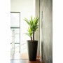 Cache-pot Garden ID: Plus de 300.000 produits de grandes marques en vente directe à prix usine sur cadeaufou.com. Label boutique