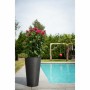 Cache-pot Garden ID: Plus de 300.000 produits de grandes marques en vente directe à prix usine sur cadeaufou.com. Label boutique