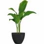 Cache-pot Garden ID: Plus de 300.000 produits de grandes marques en vente directe à prix usine sur cadeaufou.com. Label boutique
