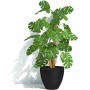 Cache-pot Garden ID: Plus de 300.000 produits de grandes marques en vente directe à prix usine sur cadeaufou.com. Label boutique