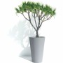 Cache-pot Garden ID: Plus de 300.000 produits de grandes marques en vente directe à prix usine sur cadeaufou.com. Label boutique