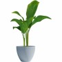 Cache-pot Garden ID: Plus de 300.000 produits de grandes marques en vente directe à prix usine sur cadeaufou.com. Label boutique