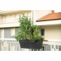 Pot Deroma 49 cm: Plus de 300.000 produits de grandes marques en vente directe à prix usine sur cadeaufou.com. Label boutique so