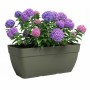 Pot Artevasi 57,9 x 24,3 x 22 cm Vert: Plus de 300.000 produits de grandes marques en vente directe à prix usine sur cadeaufou.c