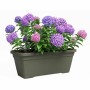 Pot Artevasi 77,9 x 24 x 22 cm Vert: Plus de 300.000 produits de grandes marques en vente directe à prix usine sur cadeaufou.com