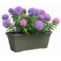 Pot Artevasi 57,9 x 24,3 x 22 cm Vert: Plus de 300.000 produits de grandes marques en vente directe à prix usine sur cadeaufou.c