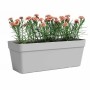 Pot Artevasi Gris clair 49,9 x 20 x 18,1 cm: Plus de 300.000 produits de grandes marques en vente directe à prix usine sur cadea