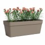 Pot Artevasi Taupe 49,9 x 20 x 18,1 cm: Plus de 300.000 produits de grandes marques en vente directe à prix usine sur cadeaufou.