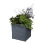 Pot EDA Rouge Anthracite Gris foncé Plastique Carré 5 cm: Plus de 300.000 produits de grandes marques en vente directe à prix us