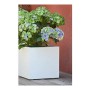 Pot EDA Blanc Plastique 5 cm: Plus de 300.000 produits de grandes marques en vente directe à prix usine sur cadeaufou.com. Label